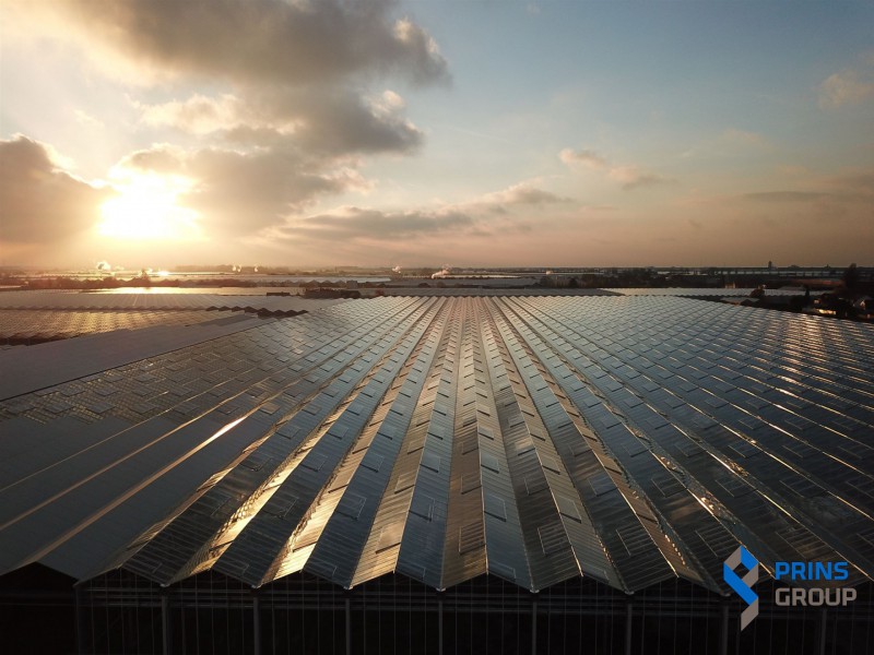 prins
